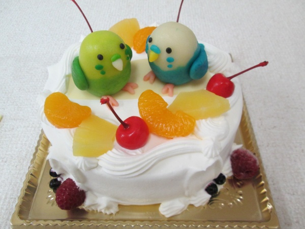 通販ケーキで 鳥のインコを立体でトッピング 大阪市東住吉区 パティスリーデコ