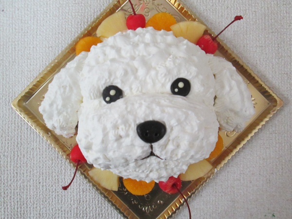 通販ケーキで 白のプードル犬を立体形ケーキで 大阪市東住吉区 パティスリーデコ