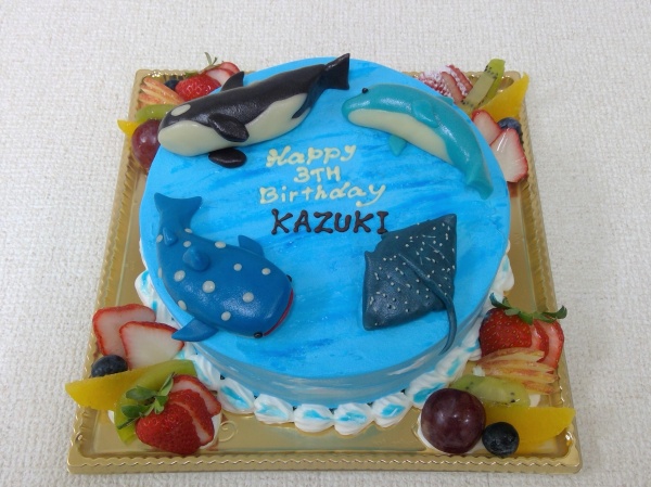 sakanasyachiiruka(2)