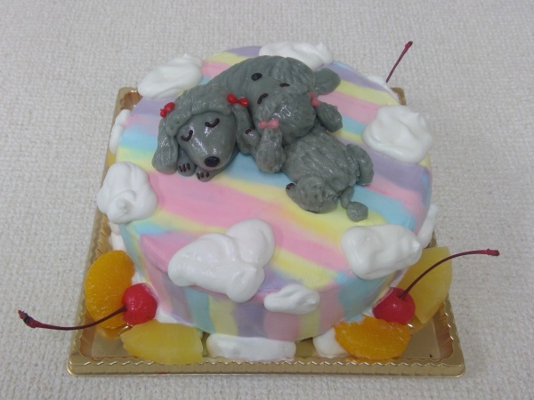 nijitokumopu-doru(2)